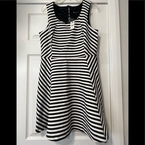 Express Black & White Skater A-line Dress Size Large New with Tags